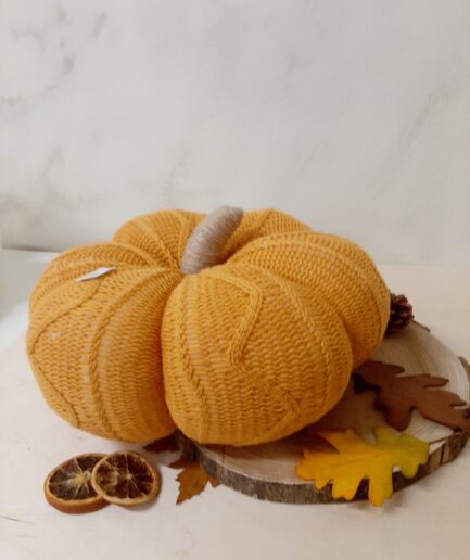 Zucca in maglia arancione