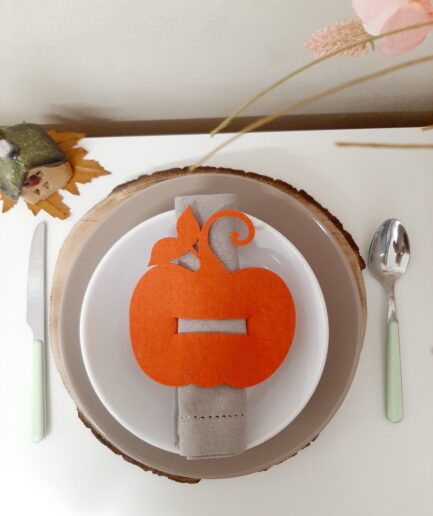 Set 6 Portatovaglioli zucca arancione