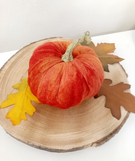 Zucca piccola in velluto arancione scuro