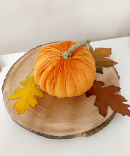 Zucca piccola in velluto arancione medio