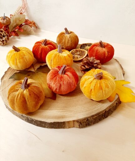 Conf.8 zucche in vellute