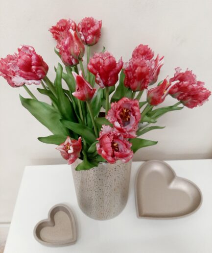 Mazzo 5 tulipani parrot rosso