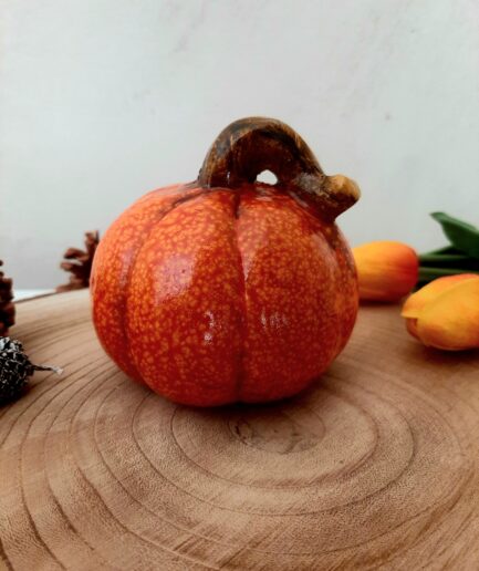Zucca in magnesia arancione difetto3