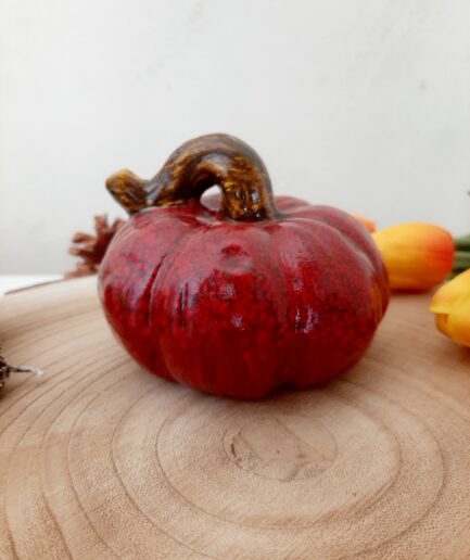 Zucca in magnesia rossa difetto1